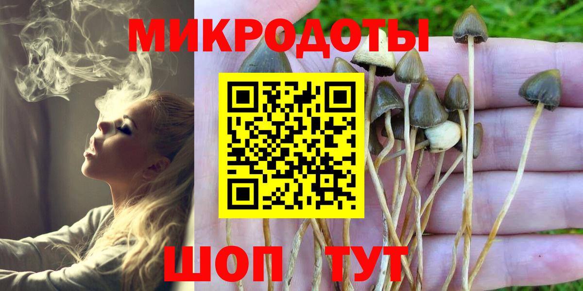Прокопьевск  Псилоцибиновые грибы прущие грибы  Вход с VPN 