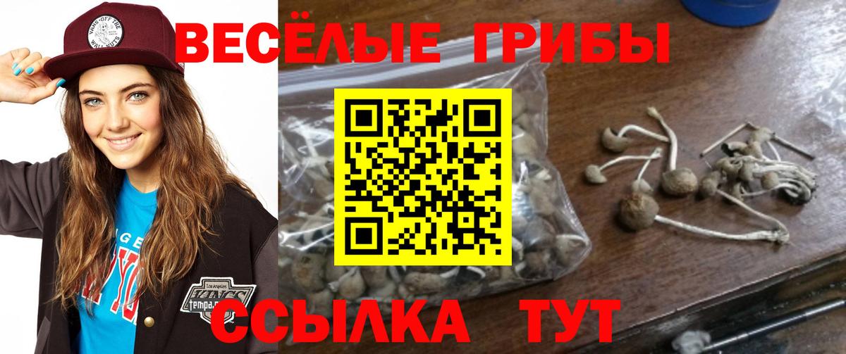 Псилоцибиновые грибы мицелий Прокопьевск